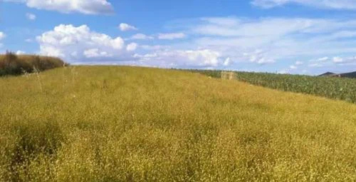 _20211021145037 _20211021145037