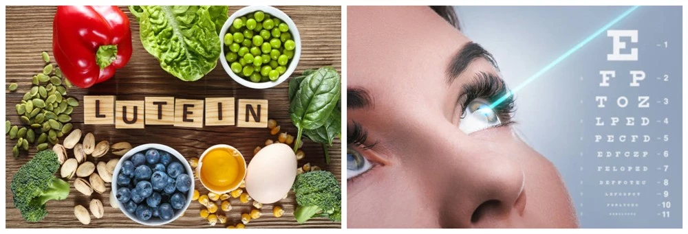 Lutein Ester for eyesight Lutein Ester for eyesight