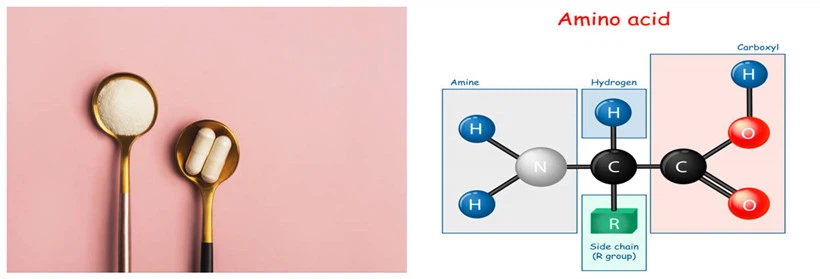 Amino acid chemical structure formula Amino acid chemical structure formula