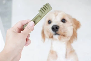 info-612-408 info-612-408